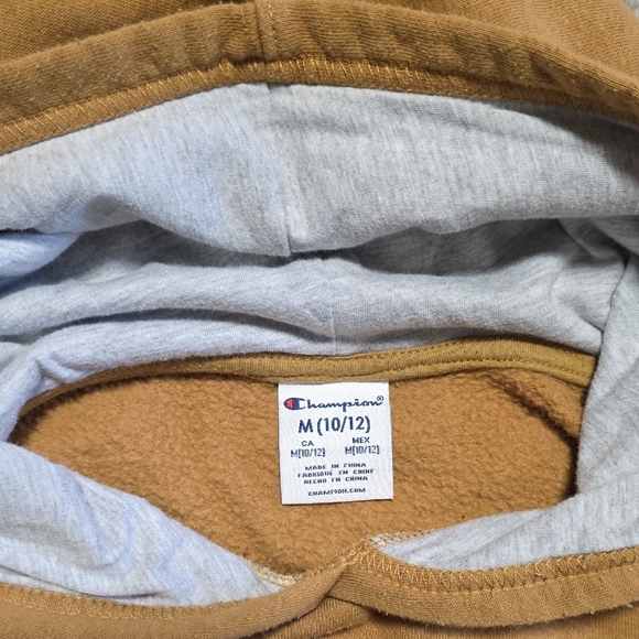 Champion Boys Hoodie Youth M 10/12 Brown Pullover - Picture 4 of 6